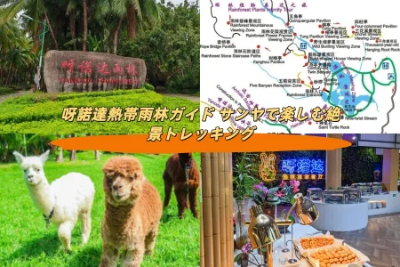 呀諾達熱帯雨林ガイド サンヤで楽しむ絶景トレッキング