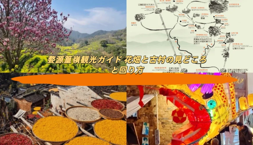 婺源篁嶺観光ガイド 花畑と古村の見どころと回り方