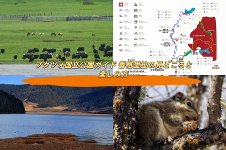 プタツォ国立公園ガイド 香格里拉の見どころと楽しみ方