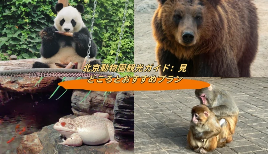 北京動物園観光ガイド：見どころとおすすめプラン