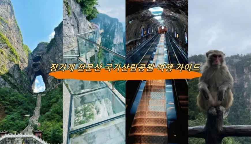 장가계 천문산 국가산림공원 여행 가이드