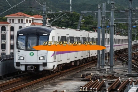 선전 지하철 노선도 가이드