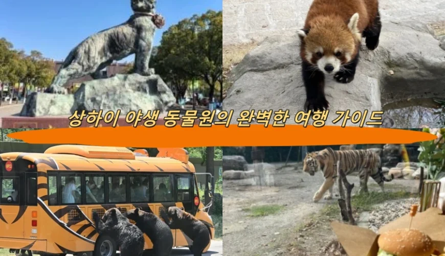 상하이 야생 동물원의 완벽한 여행 가이드