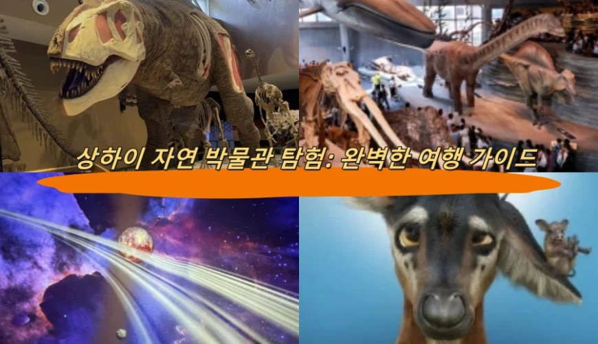 상하이 자연 박물관 탐험: 완벽한 여행 가이드
