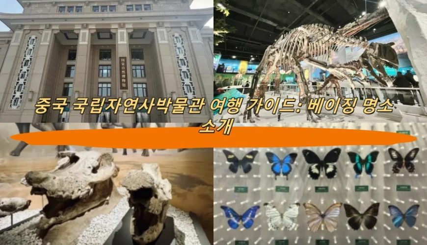 중국 국립자연사박물관 여행 가이드: 베이징 명소 소개