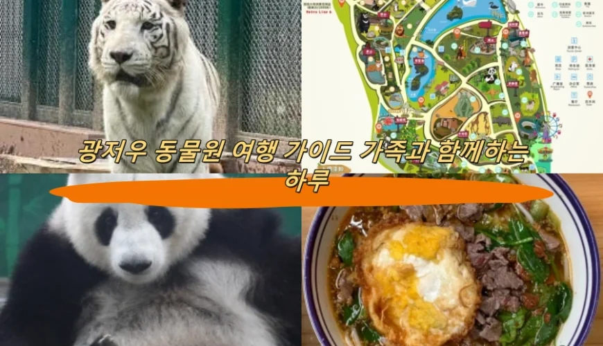 광저우 동물원 여행 가이드 가족과 함께하는 하루