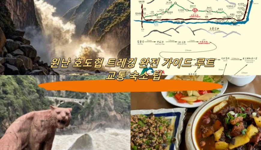 윈난 호도협 트레킹 완전 가이드 루트 교통 숙소 팁
