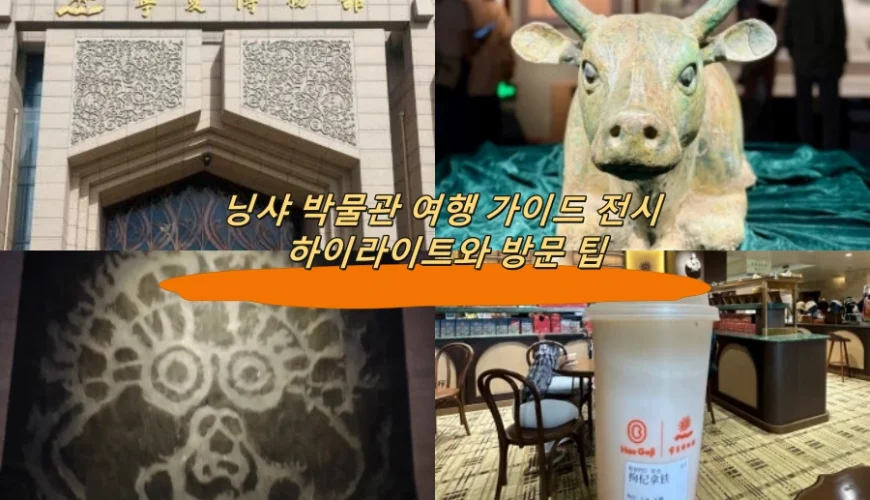 닝샤 박물관 여행 가이드 전시 하이라이트와 방문 팁