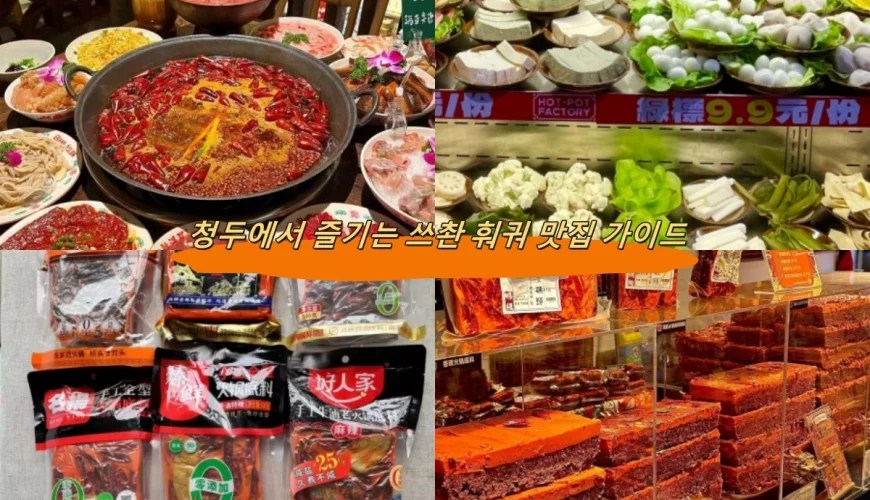 청두에서 즐기는 쓰촨 훠궈 맛집 가이드
