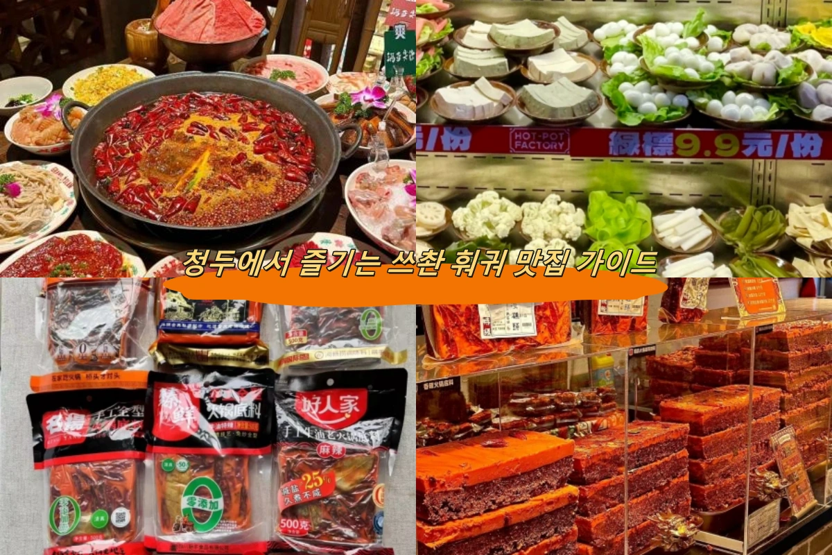 청두에서 즐기는 쓰촨 훠궈 맛집 가이드