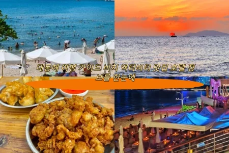 대동해 여행 가이드 비치 액티비티 맛집 호텔 정보를 한눈에