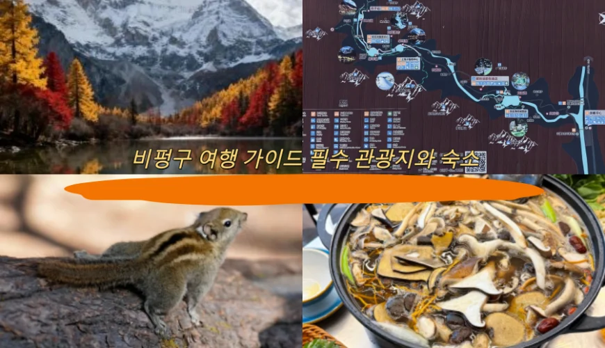 비펑구 여행 가이드 필수 관광지와 숙소