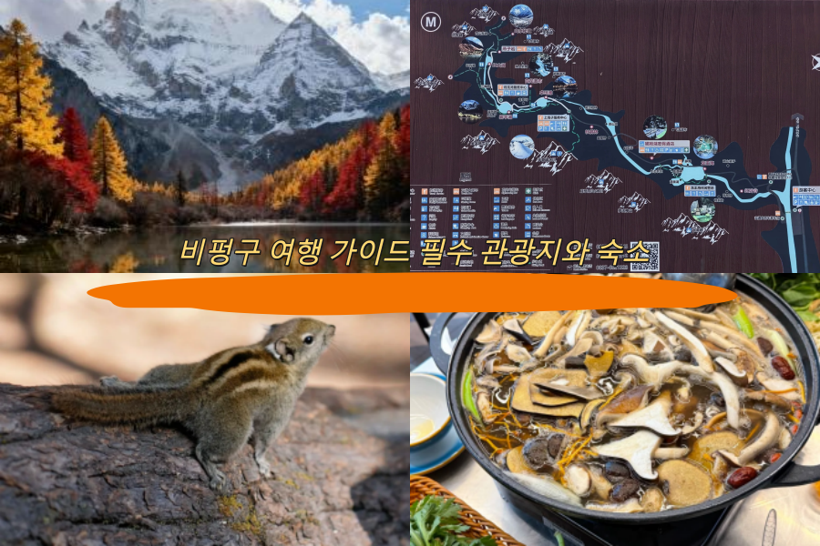 비펑구 여행 가이드 필수 관광지와 숙소