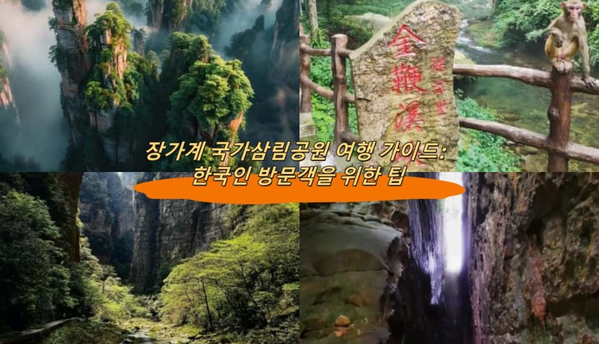 장가계 국가삼림공원 여행 가이드: 한국인 방문객을 위한 팁