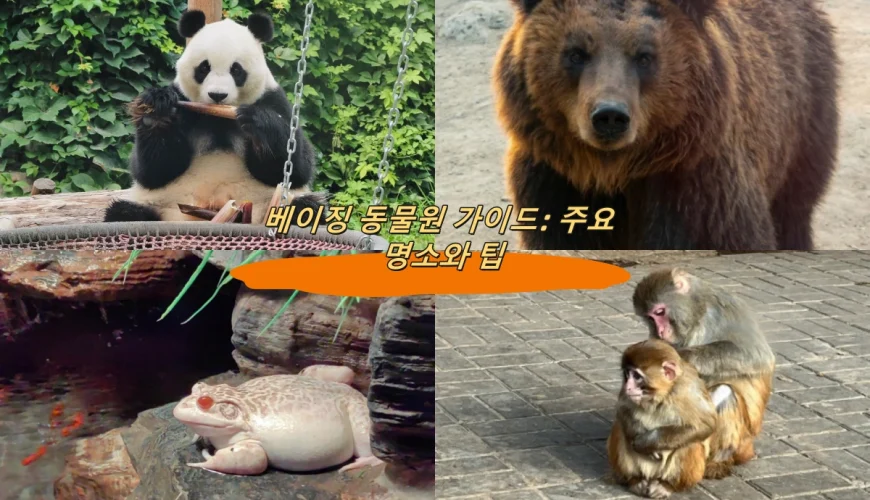 베이징 동물원 가이드: 주요 명소와 팁