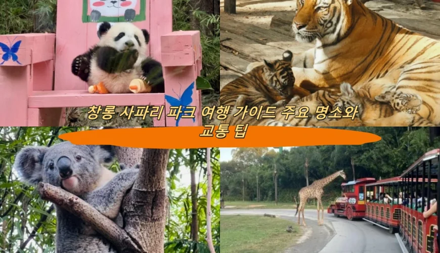 창롱 사파리 파크 여행 가이드 주요 명소와 교통 팁