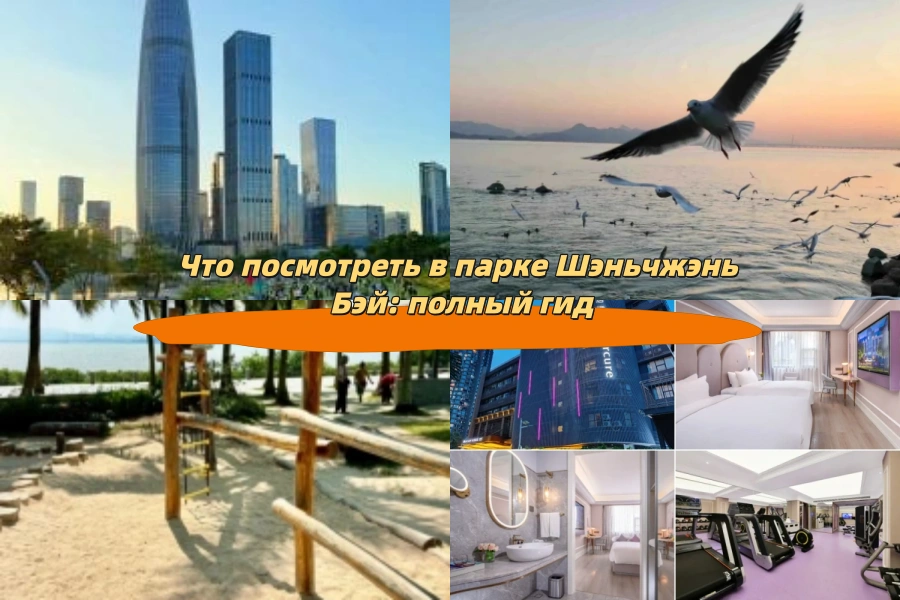 Что посмотреть в парке Шэньчжэнь Бэй: полный гид