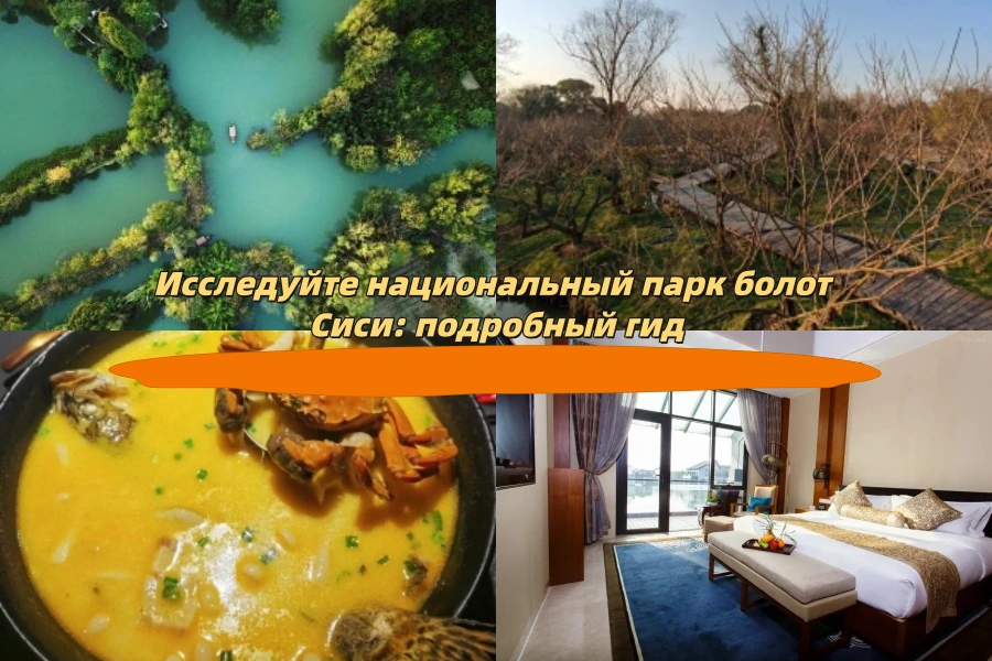 Исследуйте национальный парк болот Сиси: подробный гид
