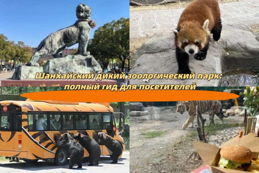 Шанхайский дикий зоологический парк: полный гид для посетителей