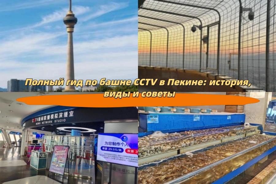 Полный гид по башне CCTV в Пекине: история, виды и советы