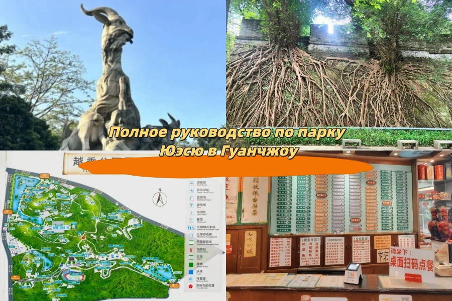 Полное руководство по парку Юэсю в Гуанчжоу