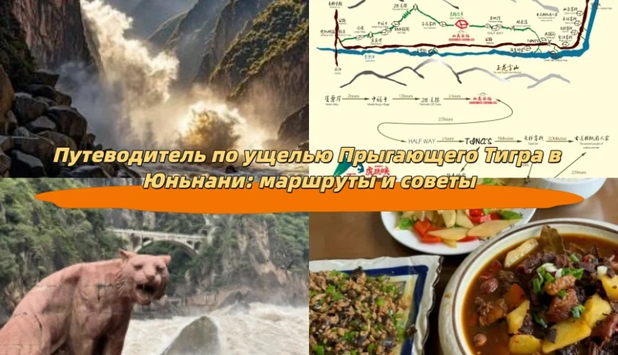 Путеводитель по ущелью Прыгающего Тигра в Юньнани: маршруты и советы