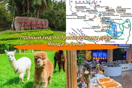 Полный гид по Тропическому лесу Янода в Санье