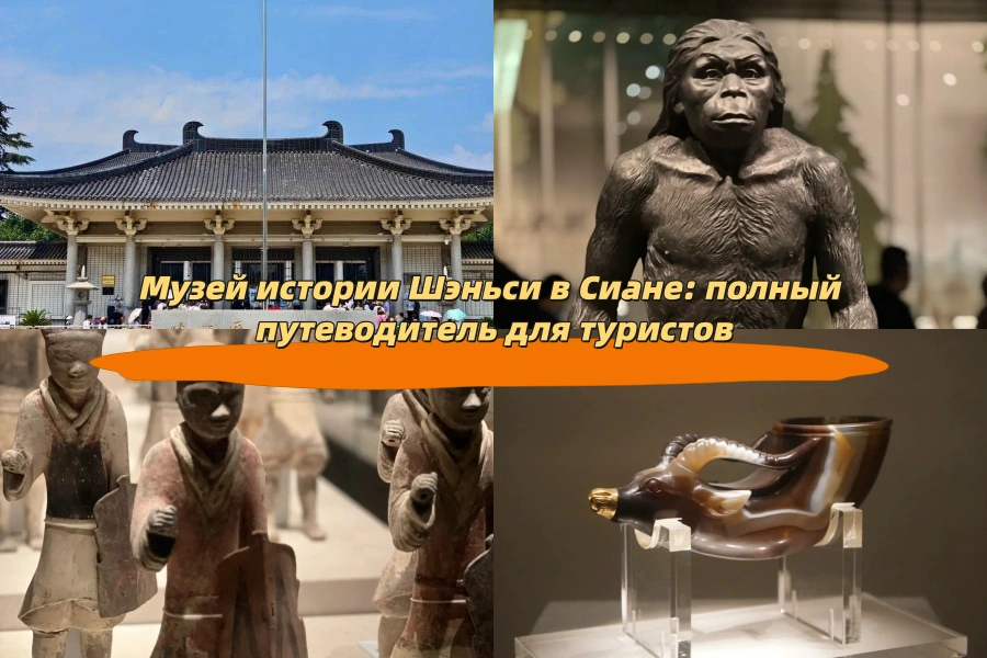 Музей истории Шэньси в Сиане: полный путеводитель для туристов