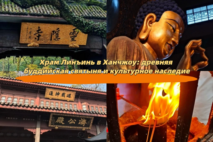 Сафари-парк Chimelong в Гуанчжоу: полный гид для всей семьи