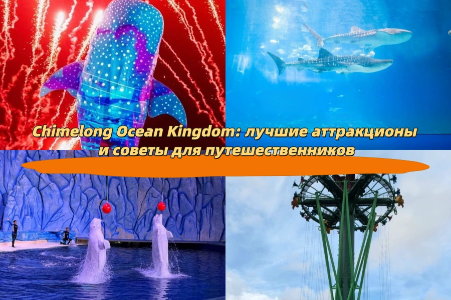 Chimelong Ocean Kingdom: лучшие аттракционы и советы для путешественников