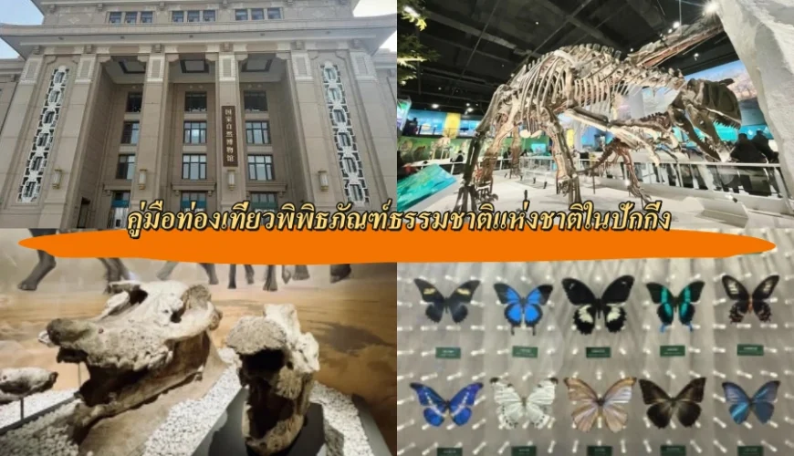 คู่มือท่องเที่ยวพิพิธภัณฑ์ธรรมชาติแห่งชาติในปักกิ่ง