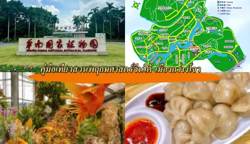 คู่มือเที่ยวสวนพฤกษศาสตร์จีนใต้ เมืองกว่างโจว