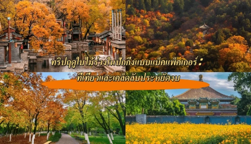 ทริปฤดูใบไม้ร่วงในปักกิ่งแบบแบ็คแพ็คเกอร์: ที่เที่ยวและเคล็ดลับประหยัดงบ