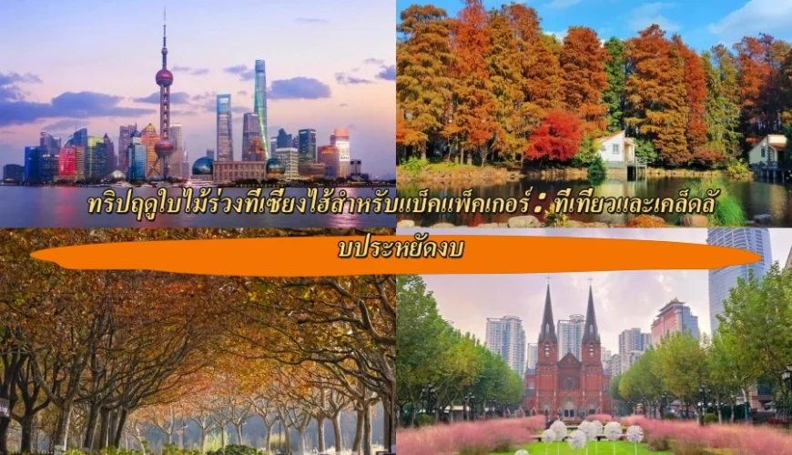 ทริปฤดูใบไม้ร่วงที่เซี่ยงไฮ้สำหรับแบ็คแพ็คเกอร์: ที่เที่ยวและเคล็ดลับประหยัดงบ