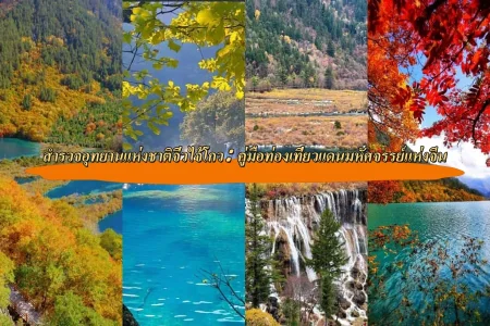 สำรวจอุทยานแห่งชาติจิ่วไจ้โกว: คู่มือท่องเที่ยวแดนมหัศจรรย์แห่งจีน