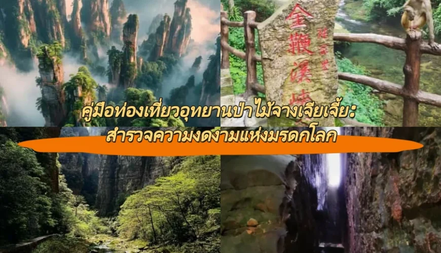 คู่มือท่องเที่ยวอุทยานป่าไม้จางเจียเจี้ย: สำรวจความงดงามแห่งมรดกโลก