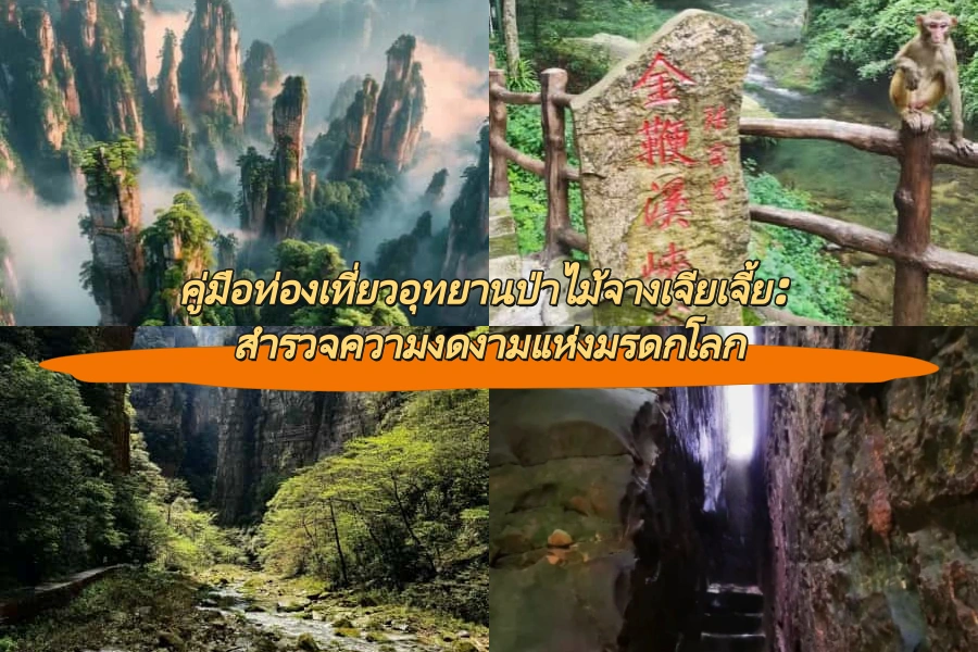 คู่มือท่องเที่ยวอุทยานป่าไม้จางเจียเจี้ย: สำรวจความงดงามแห่งมรดกโลก