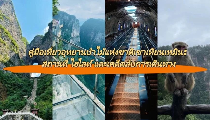 คู่มือเที่ยวอุทยานป่าไม้แห่งชาติเขาเทียนเหมิน: สถานที่ ไฮไลท์ และเคล็ดลับการเดินทาง