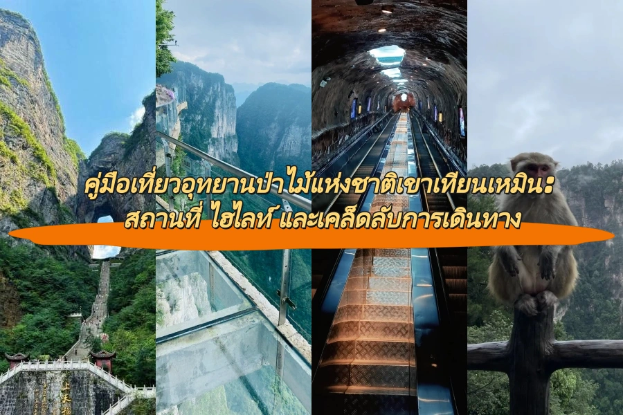 คู่มือเที่ยวอุทยานป่าไม้แห่งชาติเขาเทียนเหมิน: สถานที่ ไฮไลท์ และเคล็ดลับการเดินทาง