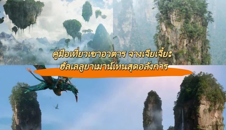 คู่มือเที่ยวเขาอวตาร จางเจียเจี้ย: ฮัลเลลูยาเมาน์เทนสุดอลังการ