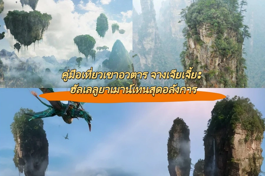 คู่มือเที่ยวเขาอวตาร จางเจียเจี้ย: ฮัลเลลูยาเมาน์เทนสุดอลังการ