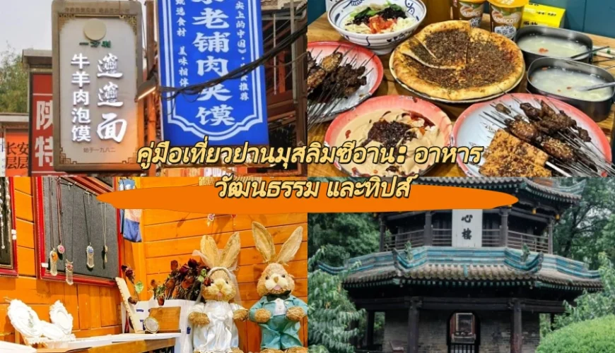 คู่มือเที่ยวย่านมุสลิมซีอาน: อาหาร วัฒนธรรม และทิปส์