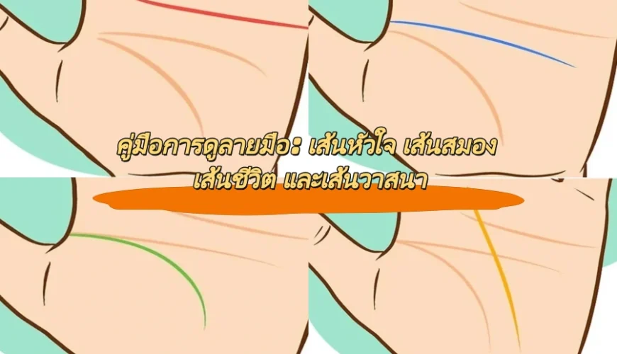 คู่มือการดูลายมือ: เส้นหัวใจ เส้นสมอง เส้นชีวิต และเส้นวาสนา