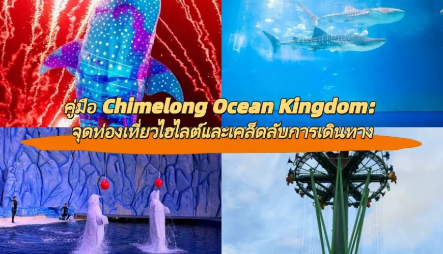 คู่มือ Chimelong Ocean Kingdom: จุดท่องเที่ยวไฮไลต์และเคล็ดลับการเดินทาง