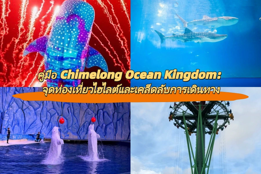 คู่มือ Chimelong Ocean Kingdom: จุดท่องเที่ยวไฮไลต์และเคล็ดลับการเดินทาง