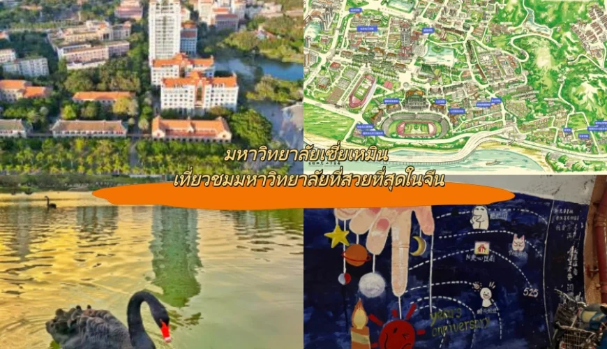 มหาวิทยาลัยเซี่ยเหมิน เที่ยวชมมหาวิทยาลัยที่สวยที่สุดในจีน