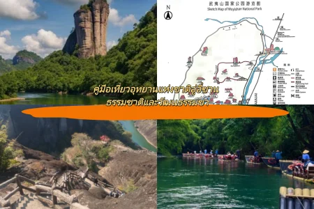 คู่มือเที่ยวอุทยานแห่งชาติอู่อี๋ซาน ธรรมชาติและวัฒนธรรมชา