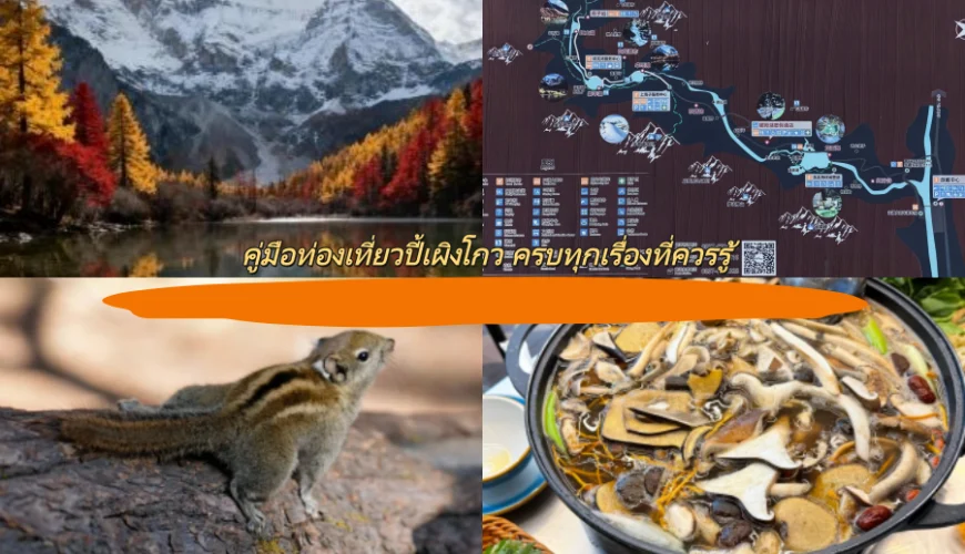 คู่มือท่องเที่ยวปี้เผิงโกว ครบทุกเรื่องที่ควรรู้