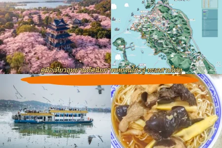 คู่มือเที่ยวอุทยานทัศนียภาพหยวนโถวจู่ ทะเลสาบไท่หู