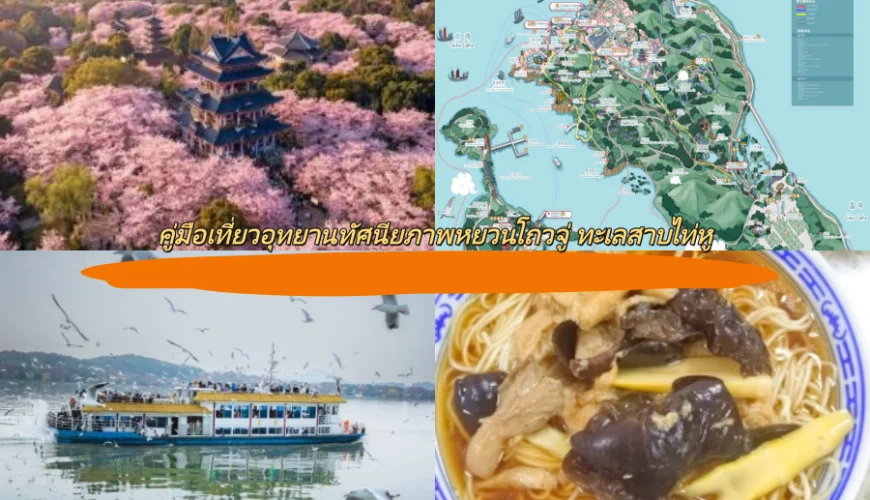 คู่มือเที่ยวอุทยานทัศนียภาพหยวนโถวจู่ ทะเลสาบไท่หู